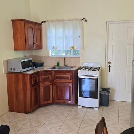 Wizzy Apartment White River Ocho Rios Ngoại thất bức ảnh