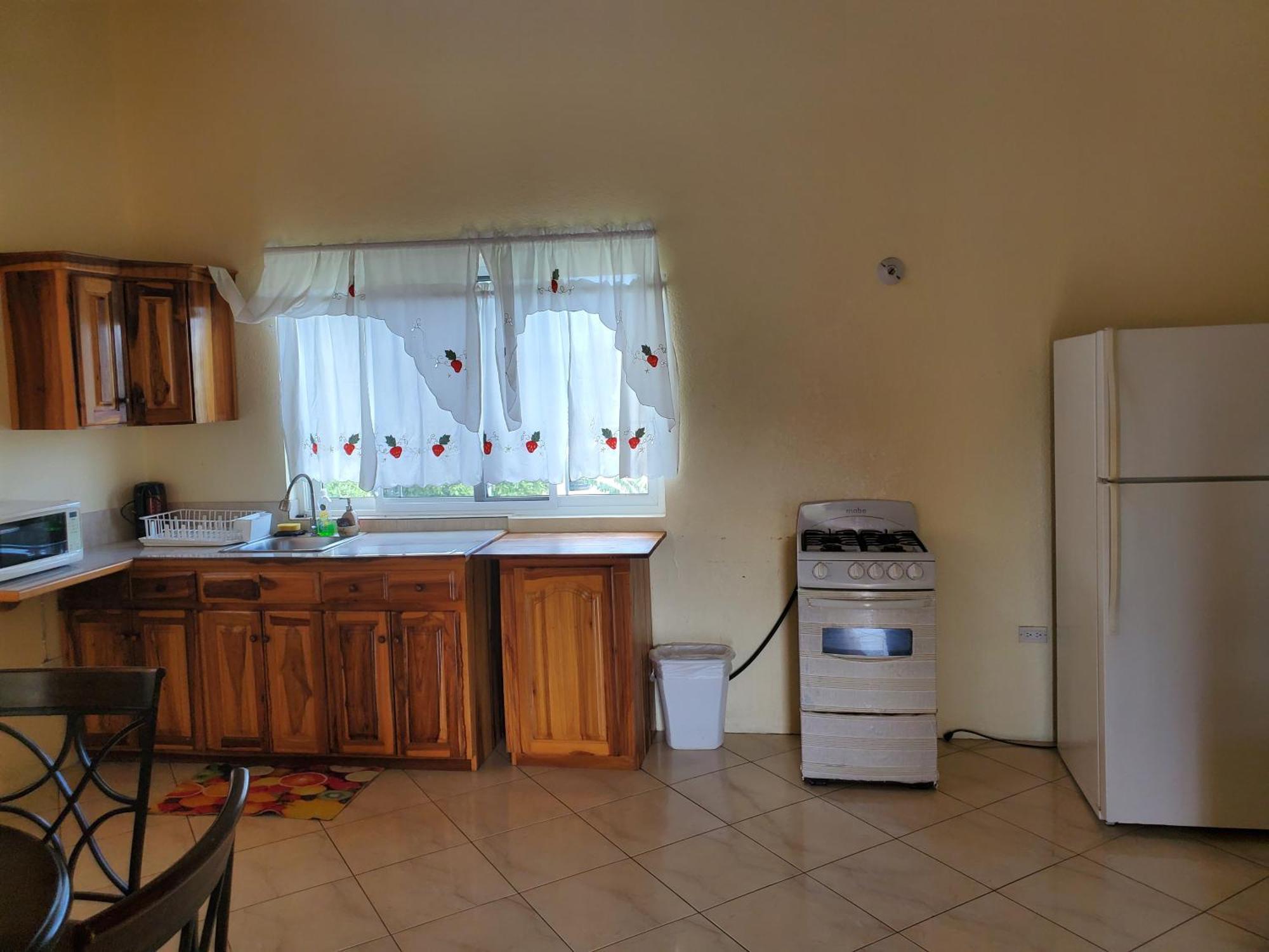 Wizzy Apartment White River Ocho Rios Ngoại thất bức ảnh