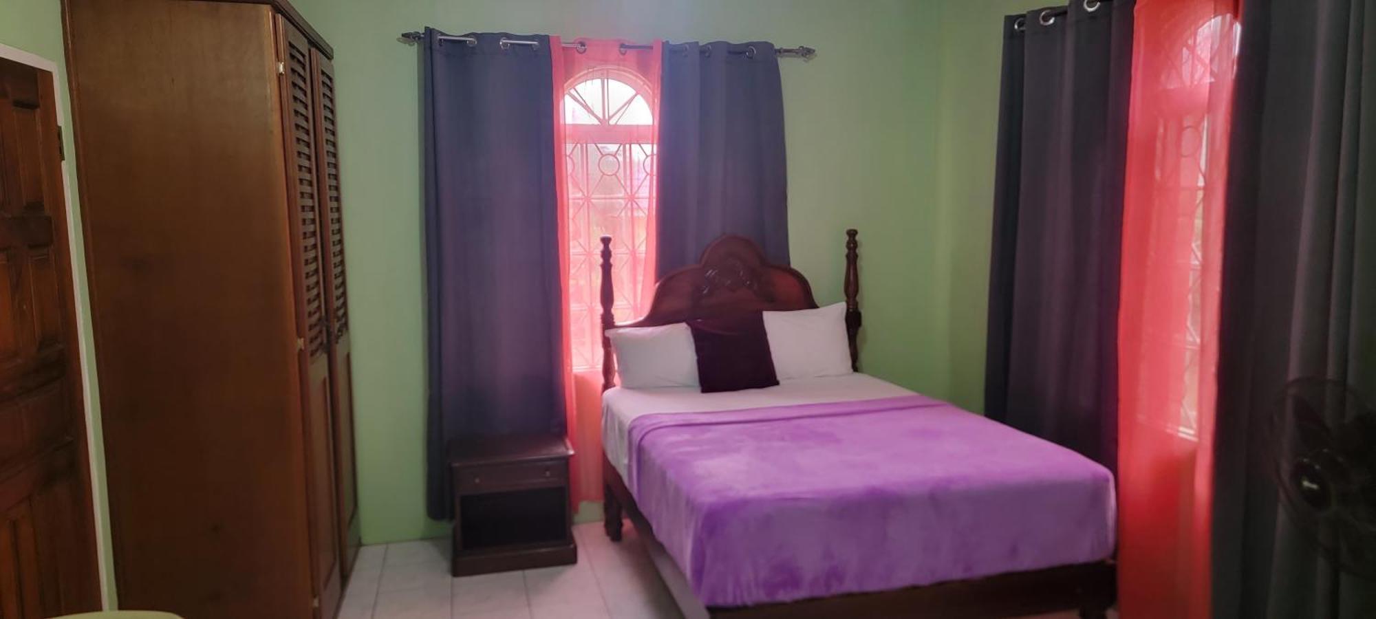 Wizzy Apartment White River Ocho Rios Phòng bức ảnh