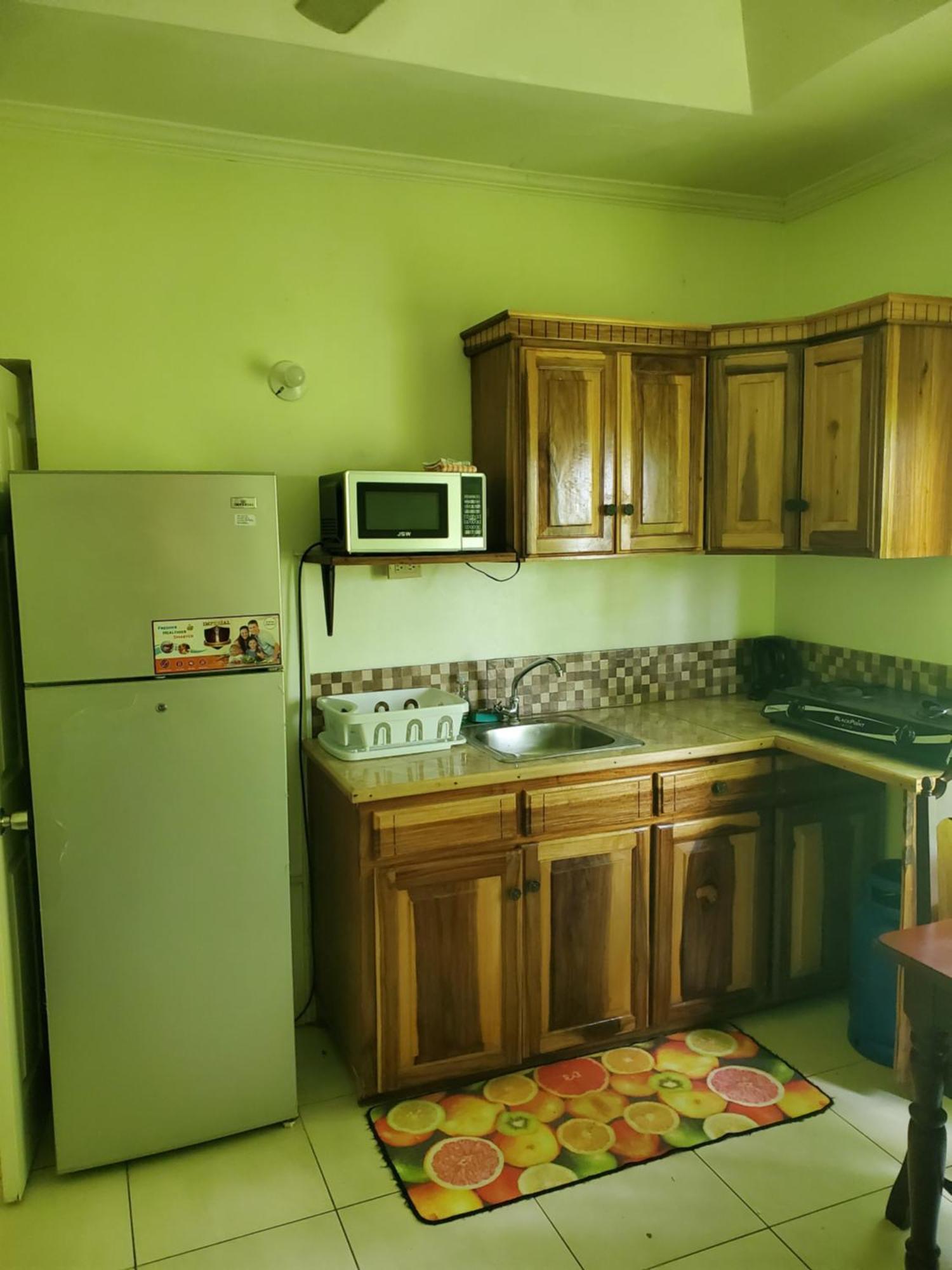 Wizzy Apartment White River Ocho Rios Ngoại thất bức ảnh