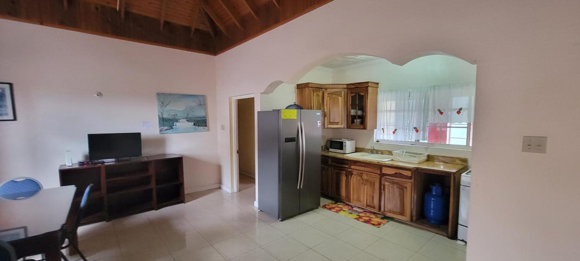 Wizzy Apartment White River Ocho Rios Phòng bức ảnh