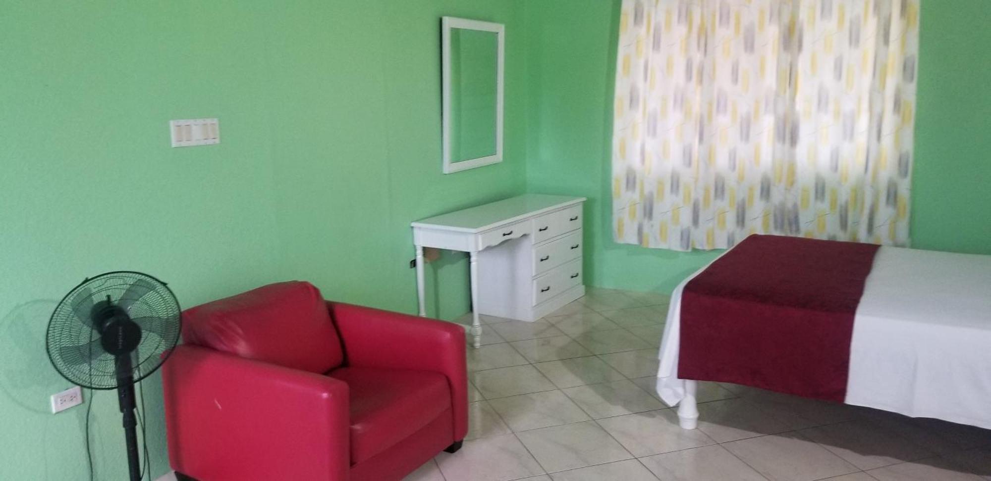 Wizzy Apartment White River Ocho Rios Phòng bức ảnh
