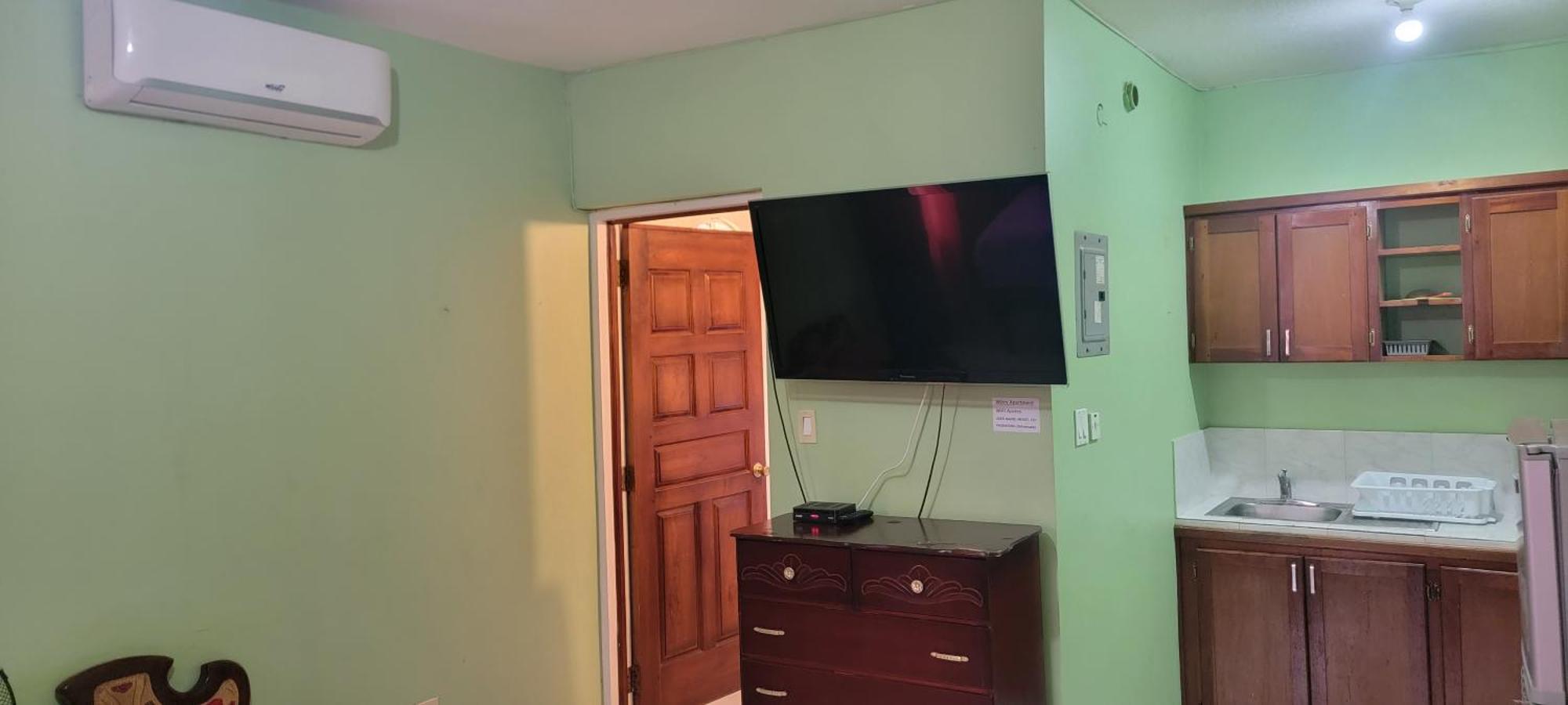 Wizzy Apartment White River Ocho Rios Phòng bức ảnh