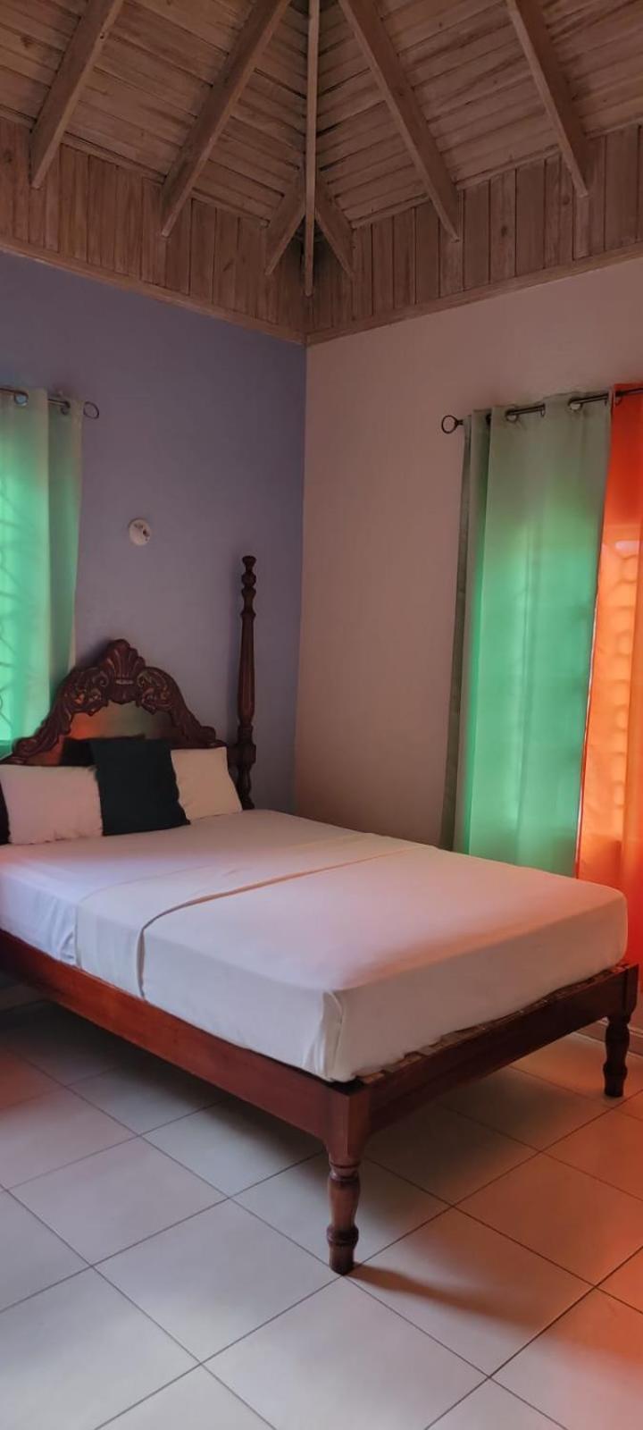 Wizzy Apartment White River Ocho Rios Ngoại thất bức ảnh