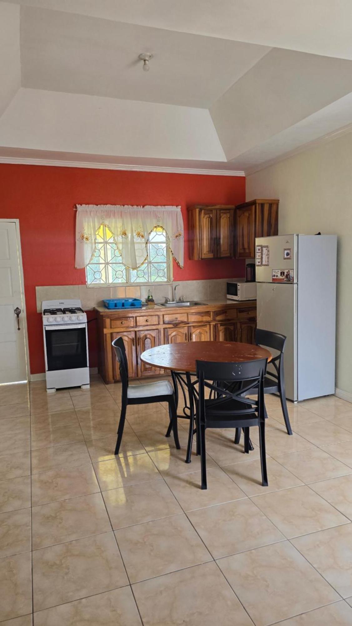 Wizzy Apartment White River Ocho Rios Ngoại thất bức ảnh