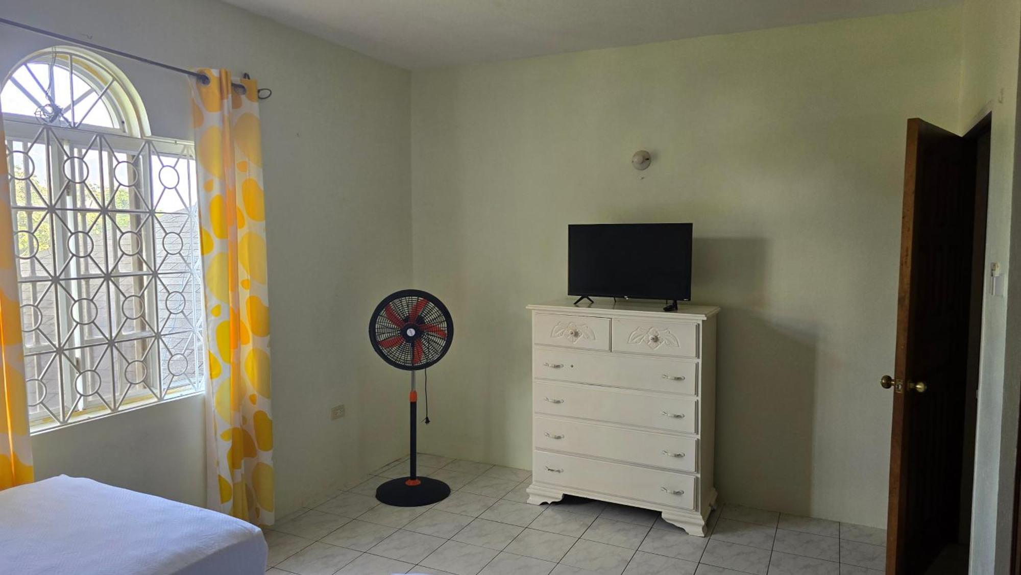 Wizzy Apartment White River Ocho Rios Phòng bức ảnh