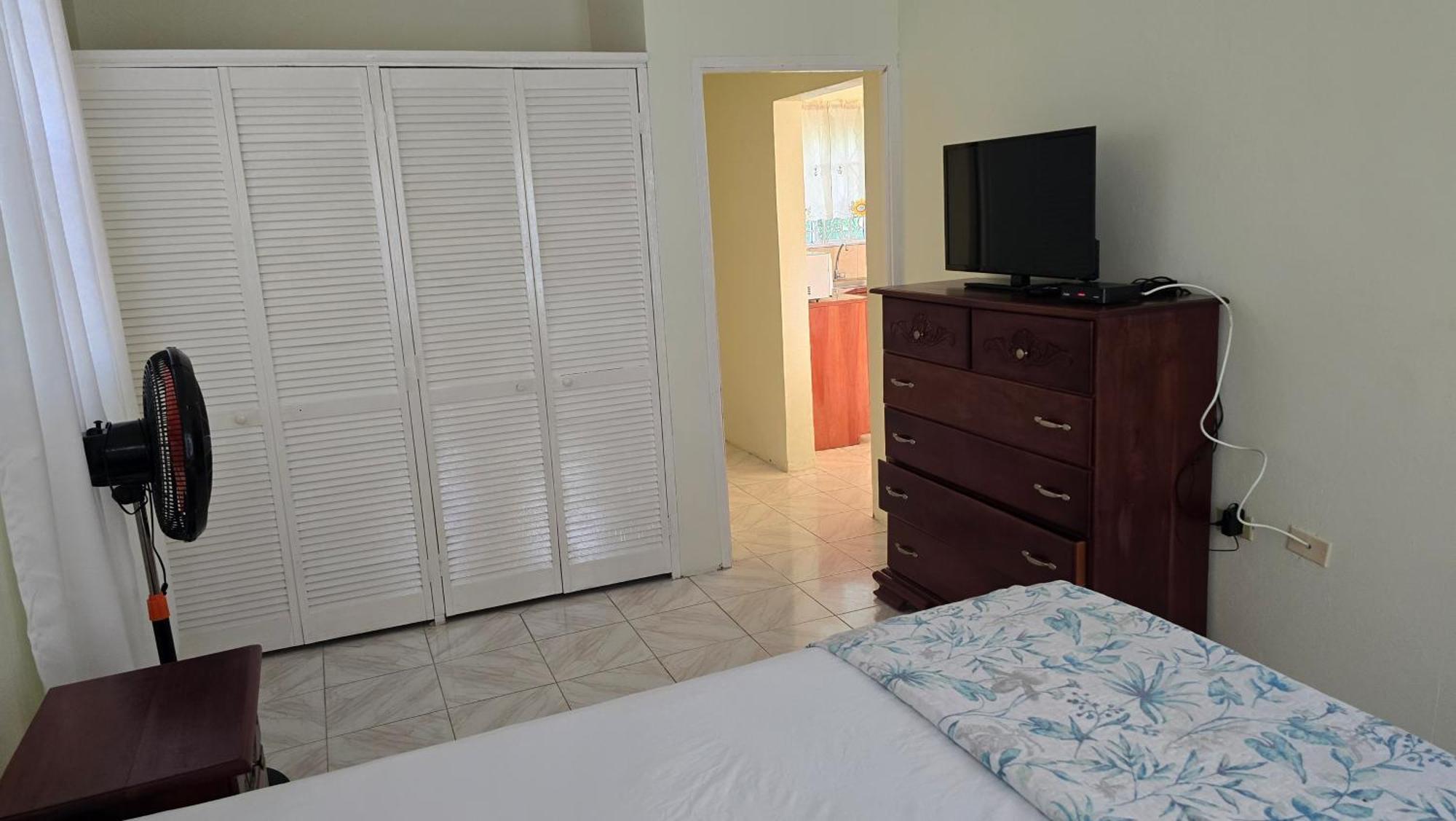 Wizzy Apartment White River Ocho Rios Ngoại thất bức ảnh