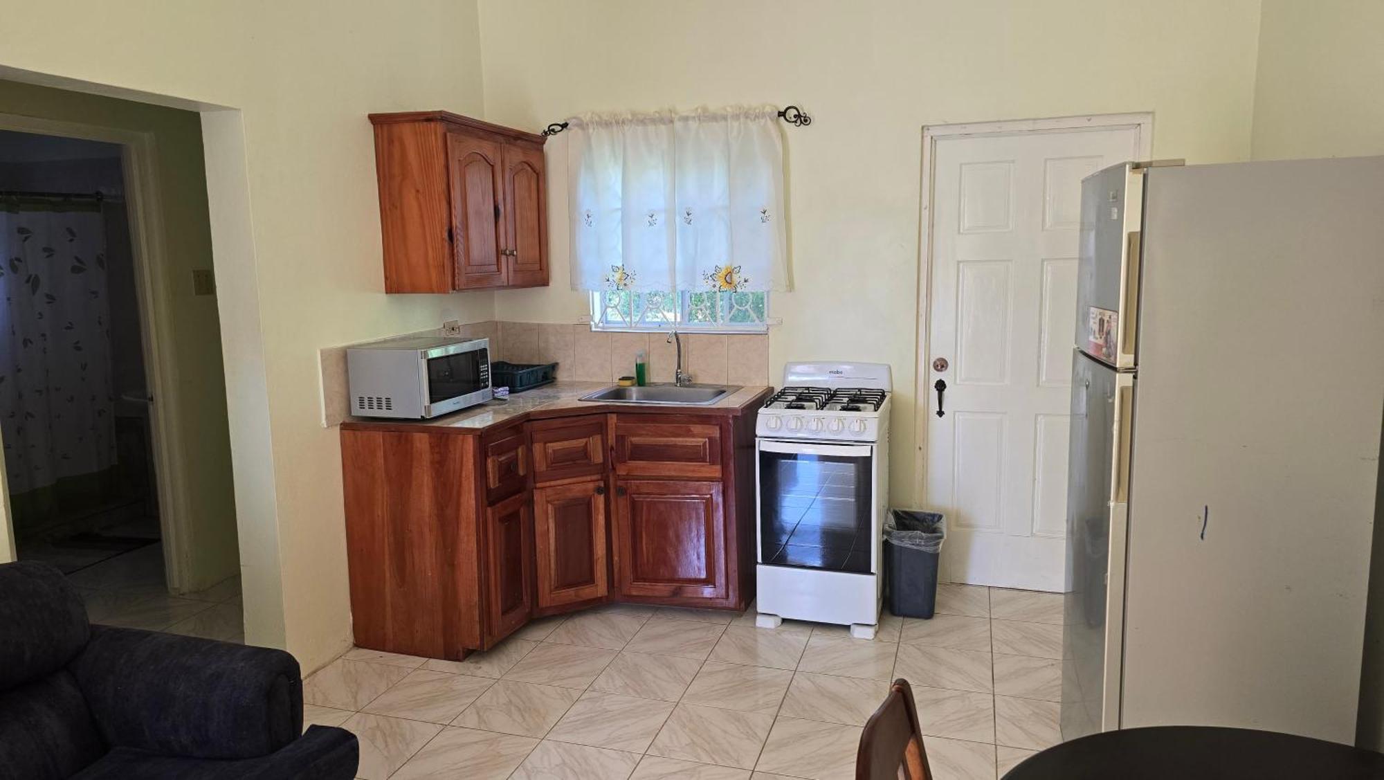 Wizzy Apartment White River Ocho Rios Ngoại thất bức ảnh